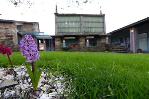 Casa de Amancio, Property grounds