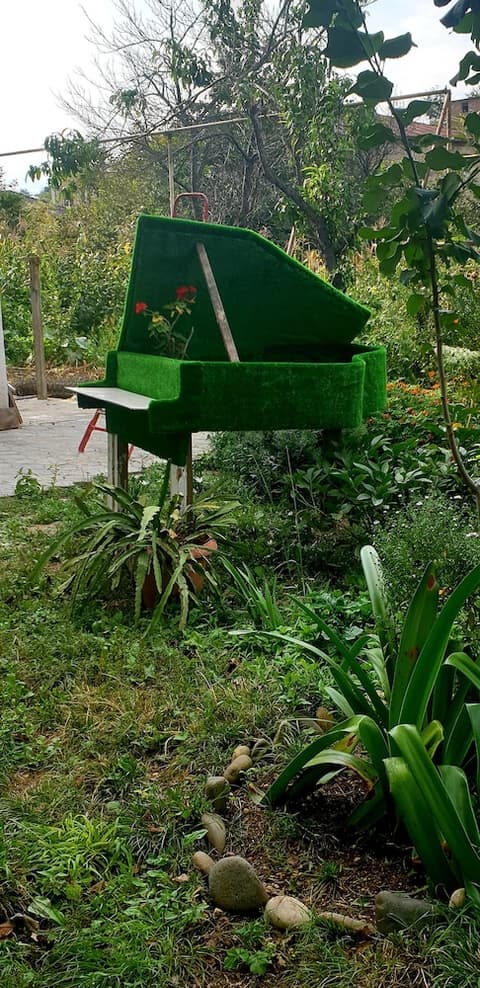 Four seasons in Kutaisi, View from room