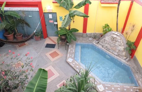 Dreamkapture Hostel, Terrace/patio