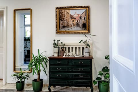 Elisabeth Old Town, Reception