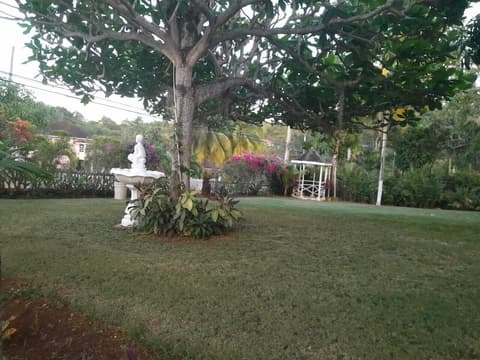 Comfort Kingdom Villa Bed & Breakfast, BBQ/picnic area