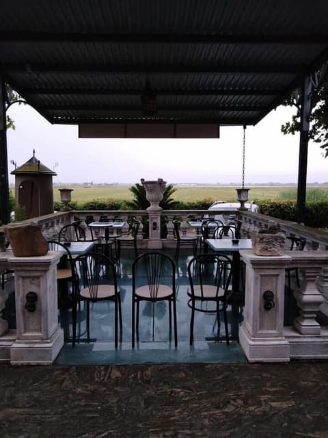 Hotel Ficocle, Terrace/patio