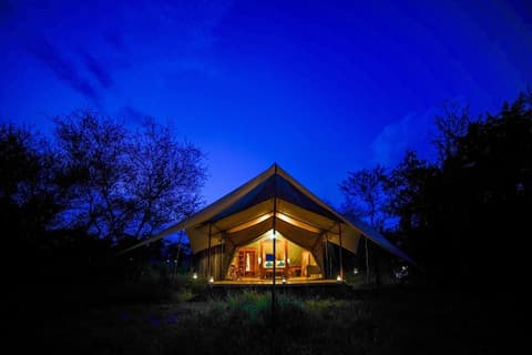 Asanja Grumeti, Room