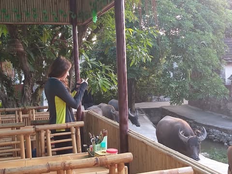 Hang Mua Central Homestay, Terrace/patio