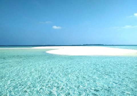 Endheri Sunset, Ecotours