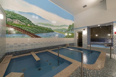 Umekoji Potel KYOTO, Public bath