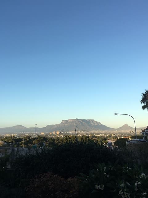 Paperbark Manor, View from room