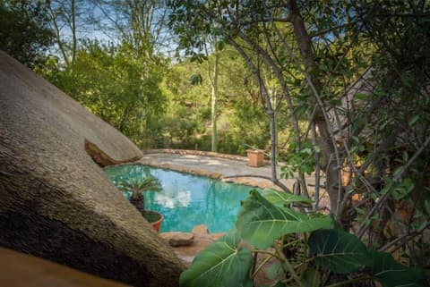 Mali Mali Safari Lodge, Pool