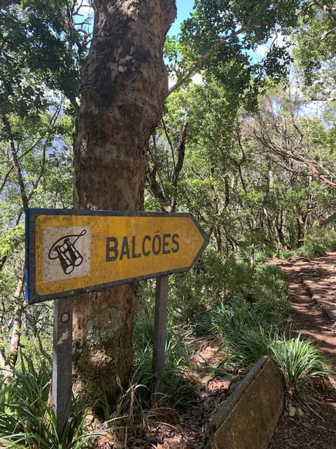 Casa do Ribeiro Frio, Hiking