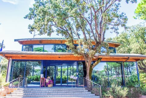 Resort Riva degli Etruschi, Reception