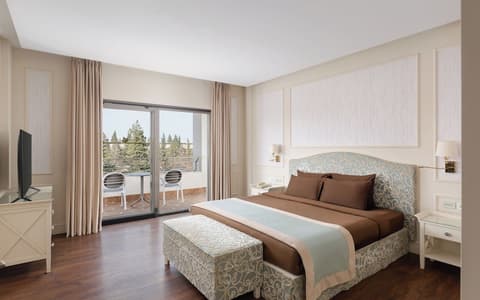 Garabagh Resort & Spa Naftalan, Room