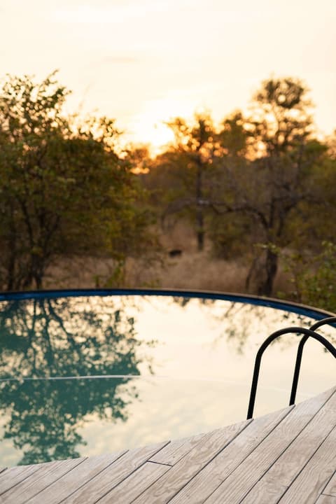Simbavati Trails Camp, Outdoor pool