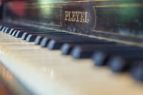 Cattani's Riverside Home, Restaurant