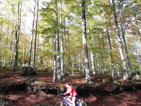 Chalet Il Cristallo, Bicycling