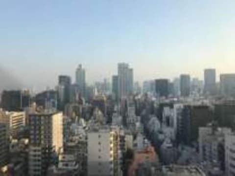 Tosei Hotel Cocone Ueno Okachimachi, View from room