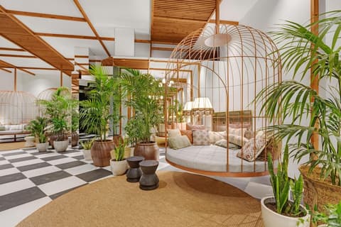 Aubamar Suites & Spa, Lobby