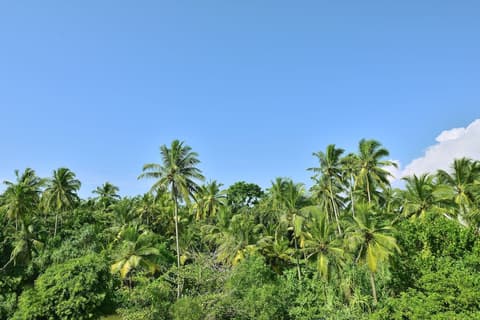 Sheraton Kosgoda Turtle Beach Resort, Room