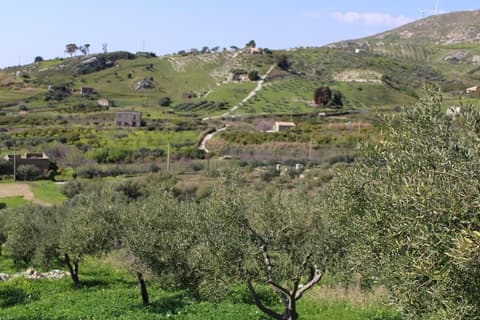 La Corte di Sofia, Exterior