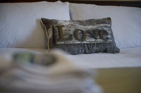 Springfield Guesthouse, Room