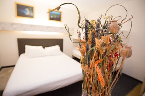 Hôtel Quick Palace Tours, Room