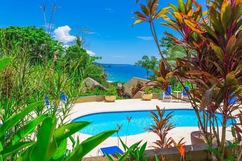 Red Frog Beach Island Resort, Room