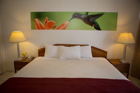 Eco Resort Inn, Room