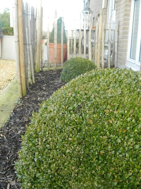 Hotel Butler, Garden