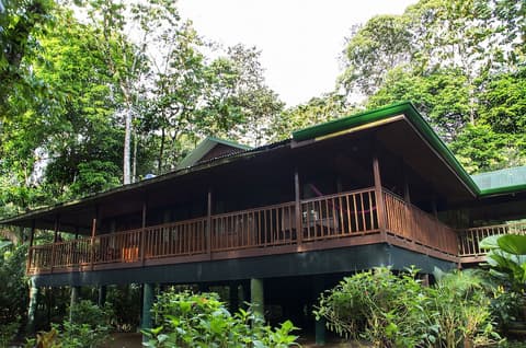 Selva Verde Lodge, Property grounds