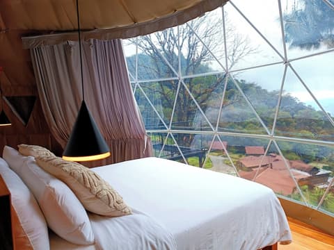 Tree Trek Boquete Adventure Park, Room