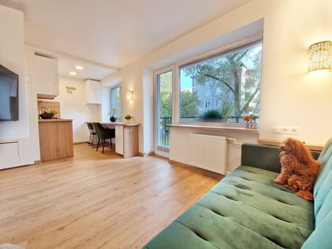 Home Apart-Hotel (Vilnius), Room