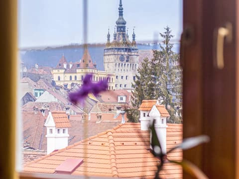 Mercure Sighisoara Binderbubi - Hotel & Spa, Room