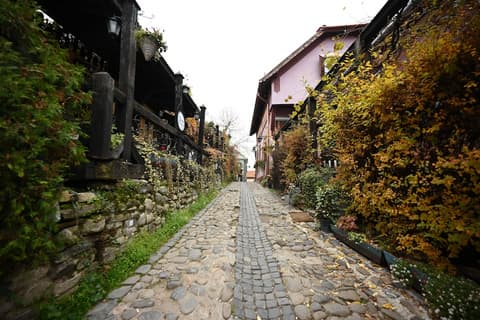 Mercure Sighisoara Binderbubi - Hotel & Spa, Bicycling
