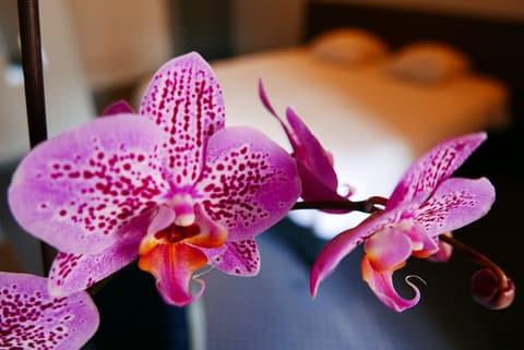 Hotel de Normandie, Interior entrance