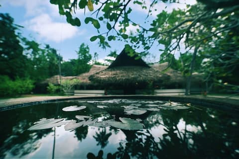 Marari Beach - Cgh Earth, Reception