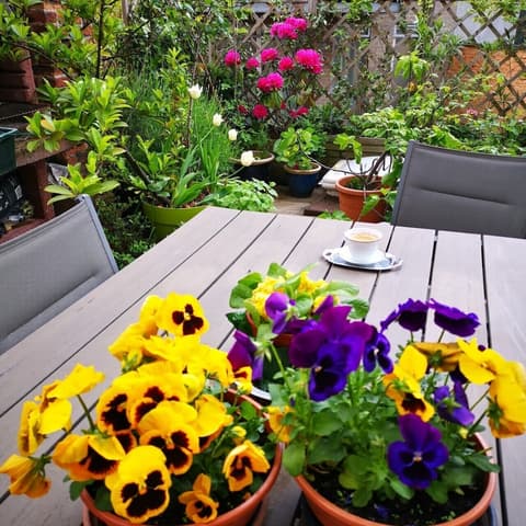 La Ducale 'B&B', Room