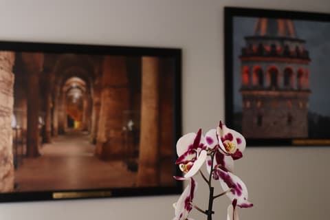 Recital Hotel, Reception