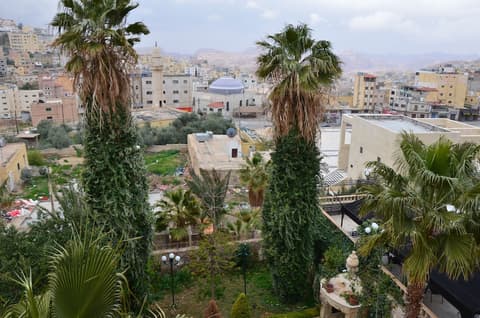 Amra Palace International Hotel, View from room