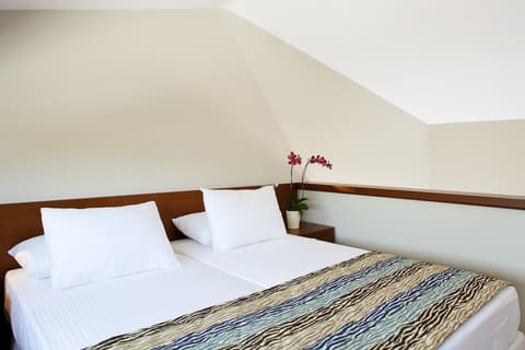 Apollonion Asterias Resort and Spa, Room