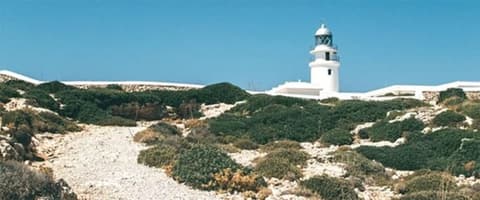 Hotel Sa Barrera - Adults Only, Boating