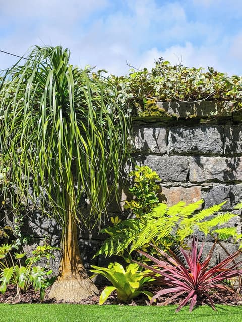 Hotel Vale Verde, Garden