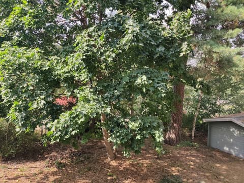 Best Western Hotel Danderyd, View from room