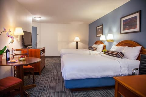 Federal City Inn & Suites, Room