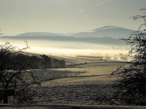 Herdshill Guest House, Miscellaneous