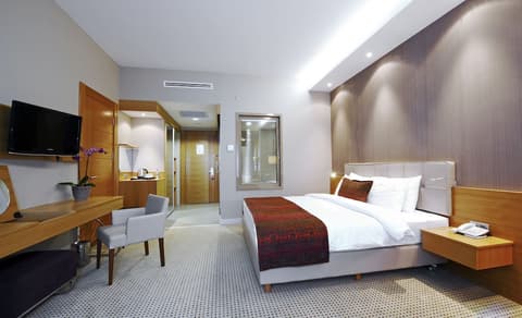 Ramada by Wyndham Podgorica, Room