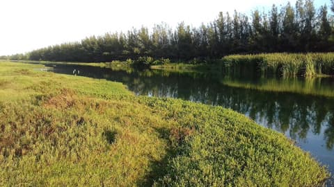 Pousada Porto Praia, Hiking