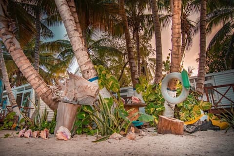 Hotel Reina del Mar By Dorado, Property grounds