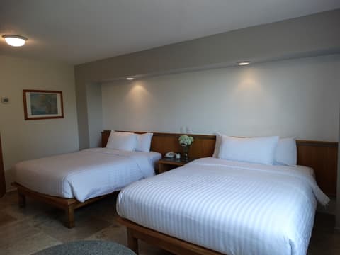 Hotel Amberes, Room