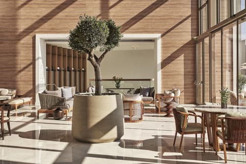 Mare Paphos, Lobby lounge