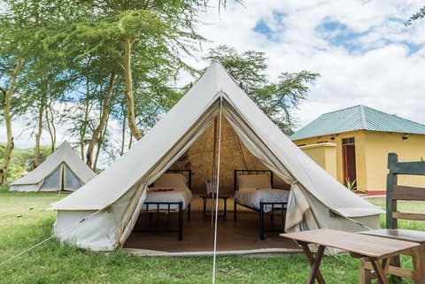 Africa Safari Serengeti Ikoma, Room