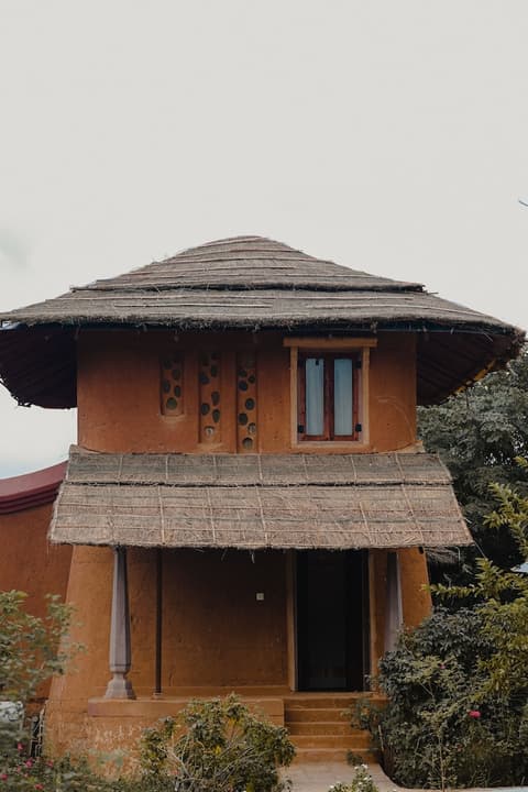 The Earth At Ranthambore, Room